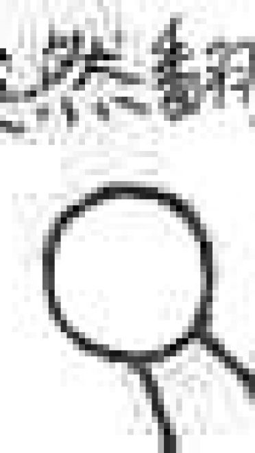 网上突然就火起来 突然表情包下载