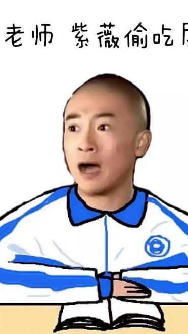 还珠格格表情  趣味斗图表情包