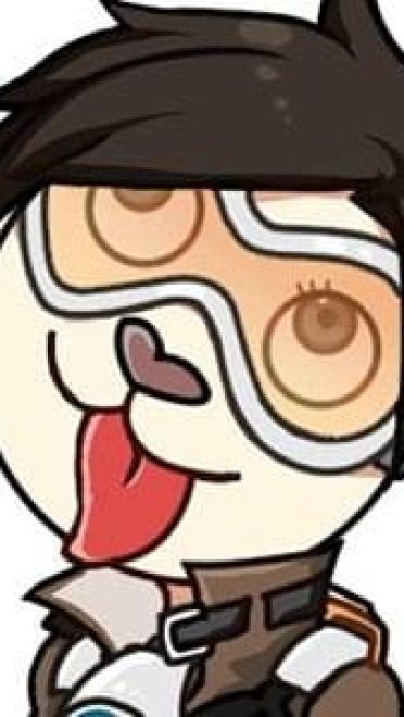 超级贱萌 守望先锋版 二哈表情包下载