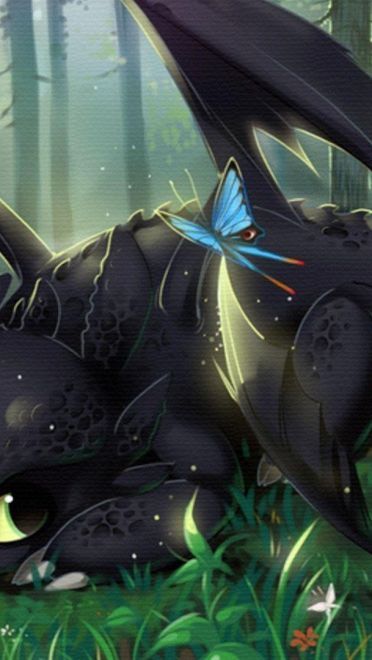 驯龙高手 高清动漫电脑壁纸