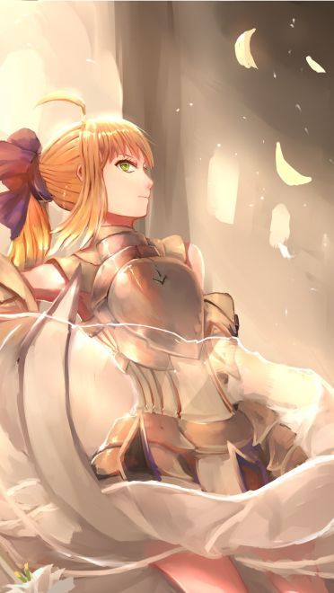 阿尔托莉雅saber本子电脑壁纸下载(1)