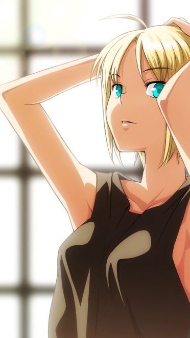 阿尔托莉雅saber本子电脑壁纸下载(1)