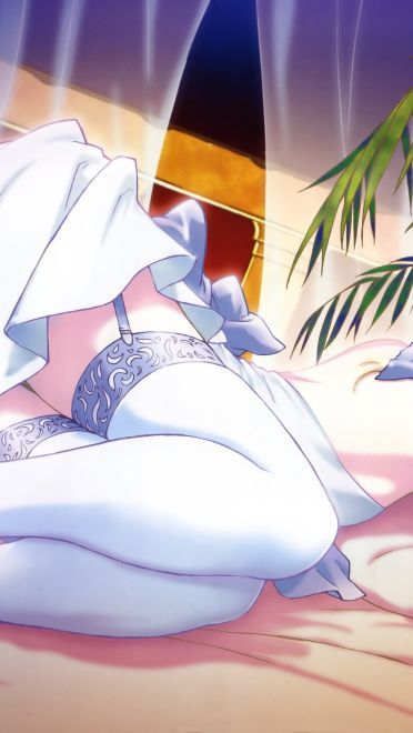 阿尔托莉雅saber本子电脑壁纸下载(1)