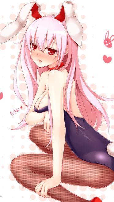 软萌兔娘来袭 手机壁纸图集分享