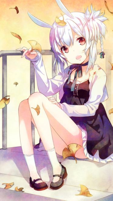 软萌兔娘来袭 手机壁纸图集分享