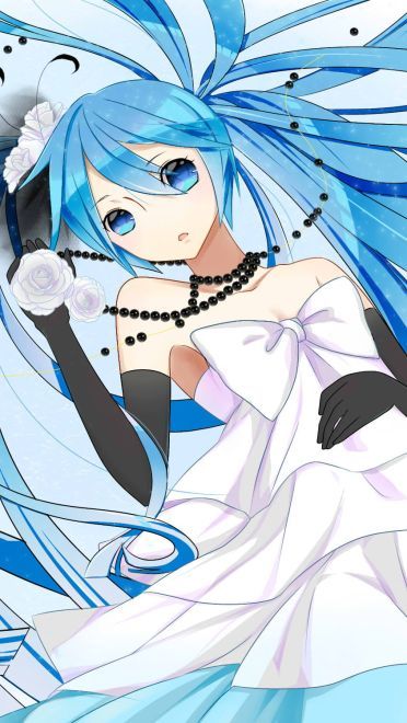 看过我的蓝白胖次吗？初音未来电脑壁纸下载(1)