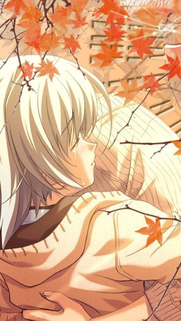 秋之回忆 高清电脑壁纸下载(1)