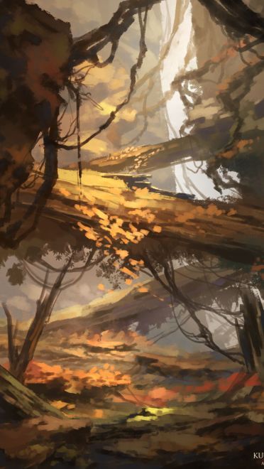 11.04一周手机壁纸精选 黑丝足底美少女(1)