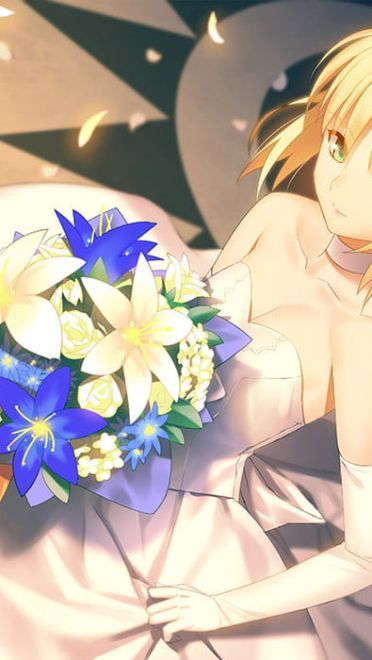 fate saber 高清电脑壁纸下载(1)