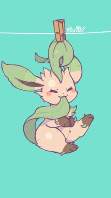 除了晒被子还能晒萌宠 伊布手机壁纸下载