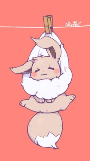 除了晒被子还能晒萌宠 伊布手机壁纸下载