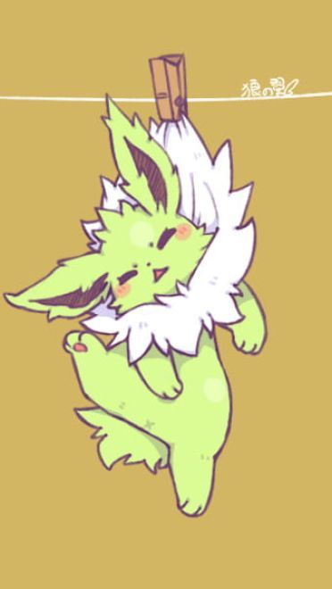 除了晒被子还能晒萌宠 伊布手机壁纸下载