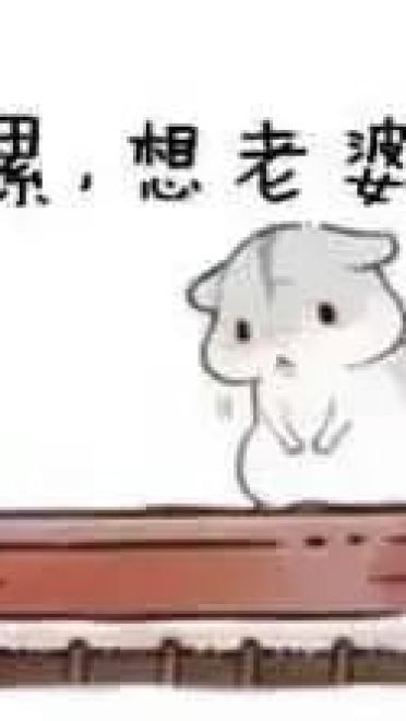 小仓鼠系列给老婆的表情包 好喜欢老婆