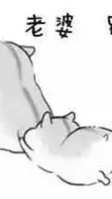 小仓鼠系列给老婆的表情包 好喜欢老婆