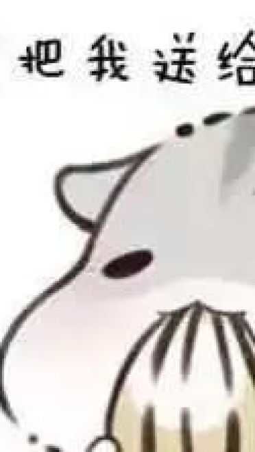 小仓鼠系列给老婆的表情包 好喜欢老婆