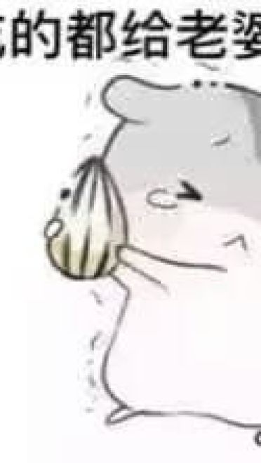 小仓鼠系列给老婆的表情包 好喜欢老婆