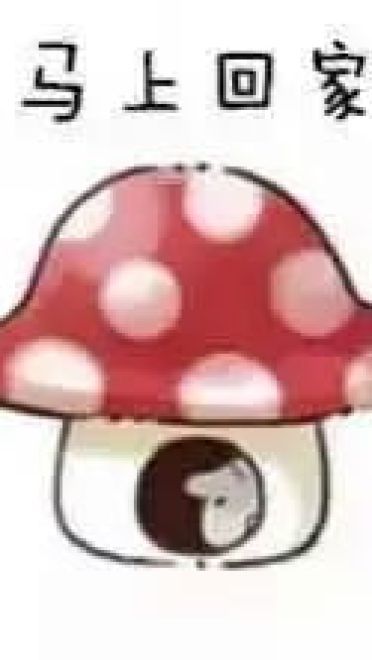 小仓鼠系列给老婆的表情包 好喜欢老婆