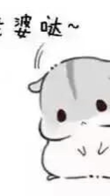 小仓鼠系列给老婆的表情包 好喜欢老婆