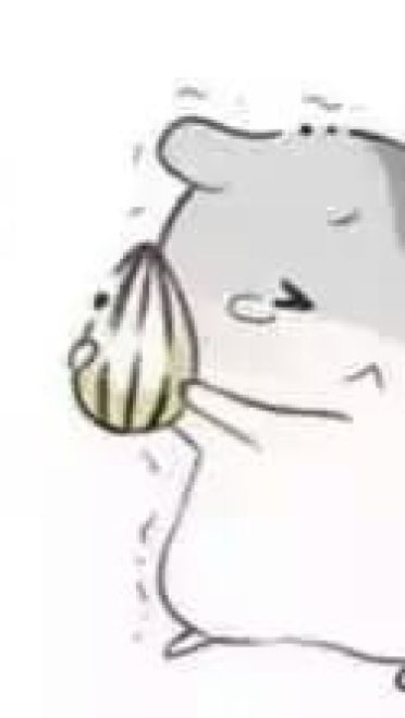 小仓鼠系列给老婆的表情包 好喜欢老婆