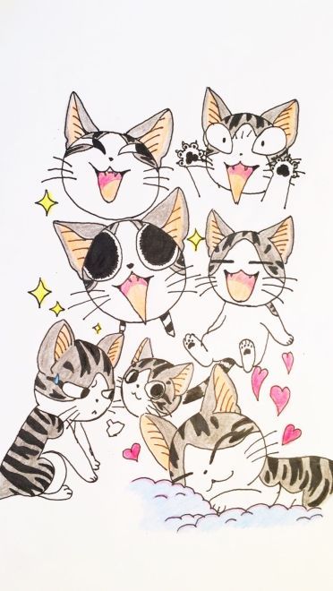 萌宠甜甜私房猫 手机壁纸图集下载