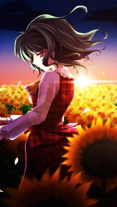 优雅的绽放，墨染樱花 东方壁纸下载(1)