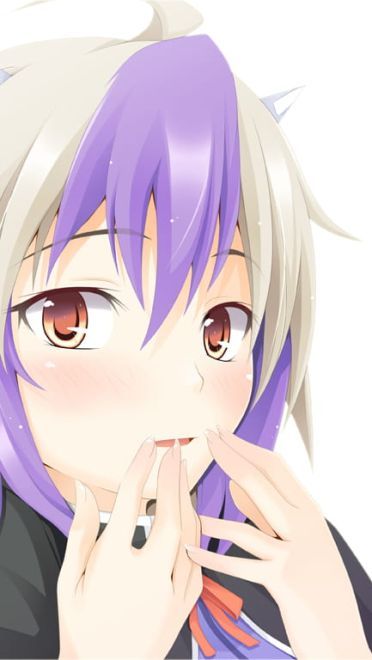 优雅的绽放，墨染樱花 东方壁纸下载(1)