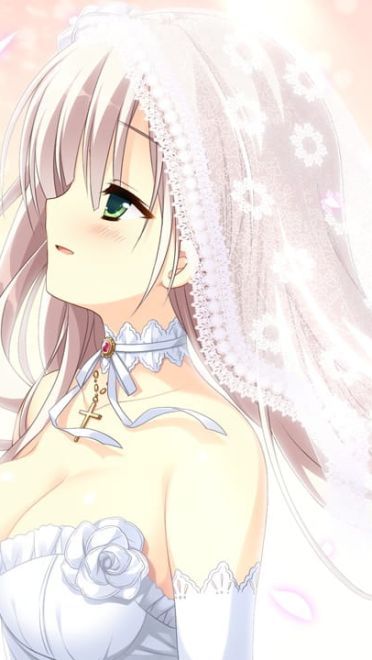 两个女孩子也是可以结婚 百合电脑壁纸下载(1)