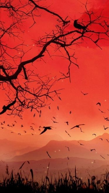 光怪陆离 动漫高清电脑壁纸下载