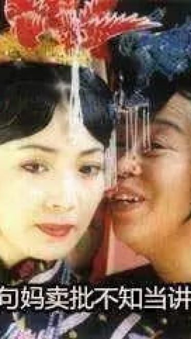 网上超火 还珠格格超欠揍骂人表情包下载