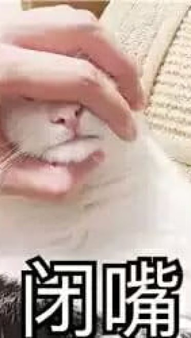 超级可的猫咪表情包下载