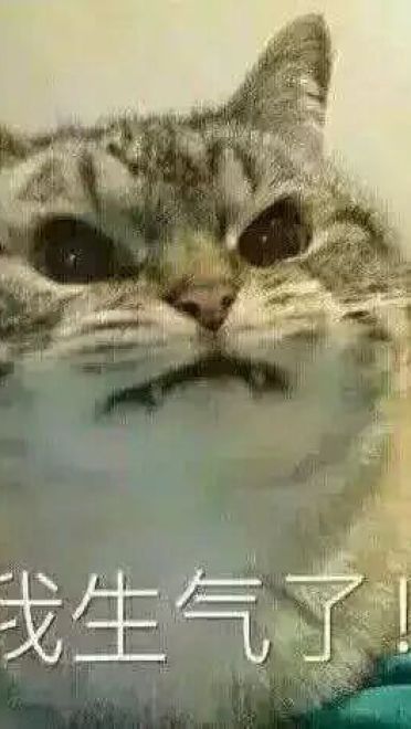 超级可的猫咪表情包下载