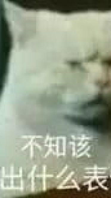 超级可的猫咪表情包下载