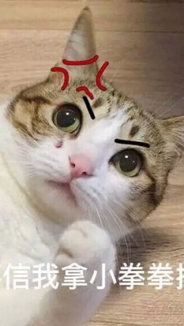 超级可的猫咪表情包下载