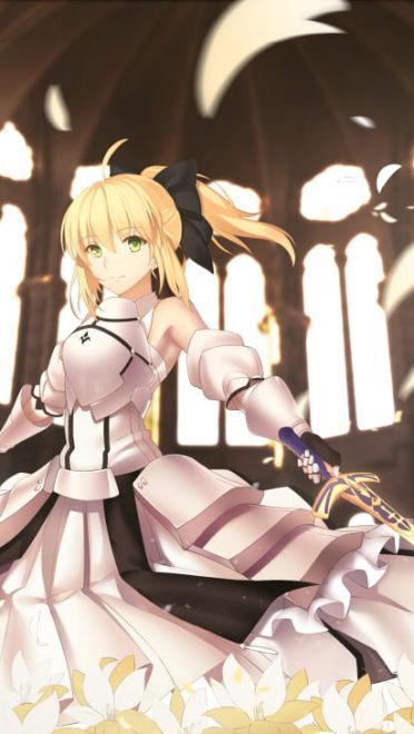 纯白的剑士saber lily fate系列 安卓主题