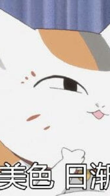 夏目友人帐 猫咪老师表情包下载