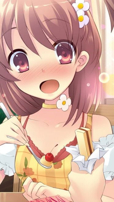 飞翔的心 动漫电脑壁纸下载