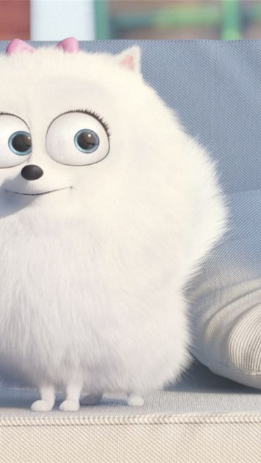 《爱宠大机密》图片电脑壁纸下载