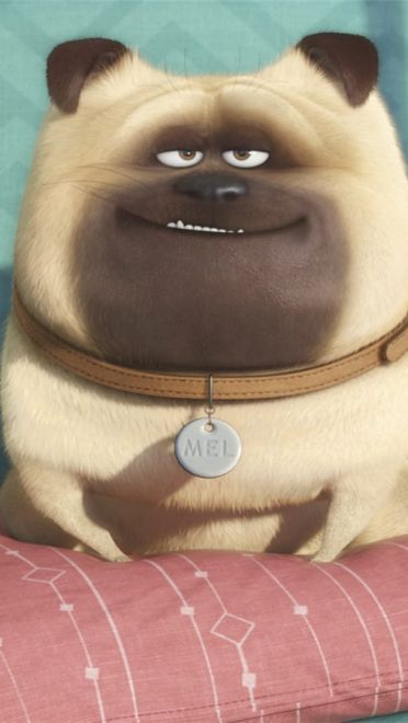 《爱宠大机密》图片电脑壁纸下载