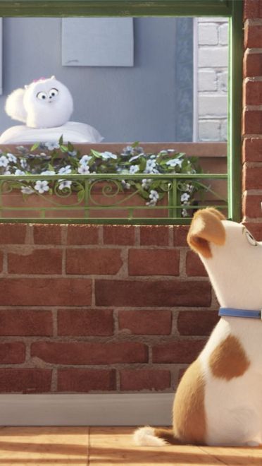 《爱宠大机密》图片电脑壁纸下载