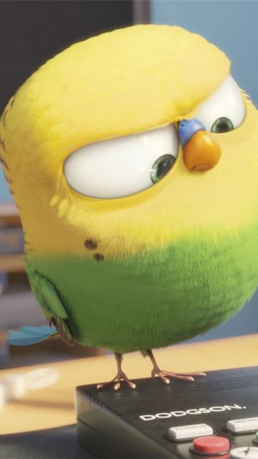 《爱宠大机密》图片电脑壁纸下载