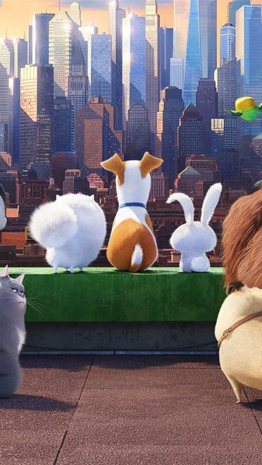 《爱宠大机密》图片电脑壁纸下载