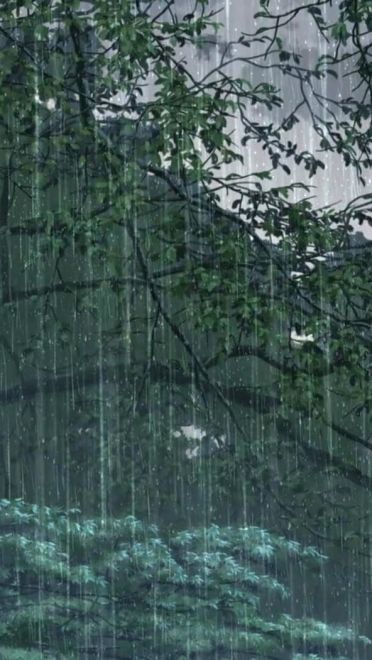 新海诚巨作《言叶之庭》绿色护眼电脑桌面壁纸第一辑