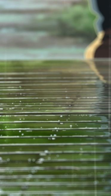 新海诚巨作《言叶之庭》绿色护眼电脑桌面壁纸第一辑