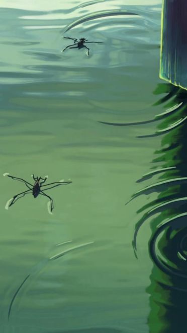 新海诚巨作《言叶之庭》绿色护眼电脑桌面壁纸第三辑