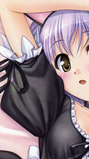 《大图书馆的牧羊人》美少女电脑壁纸