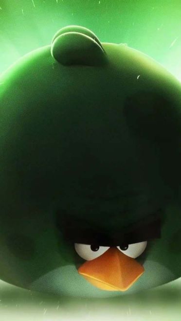 愤怒的小鸟 可爱小鸟精致电脑壁纸