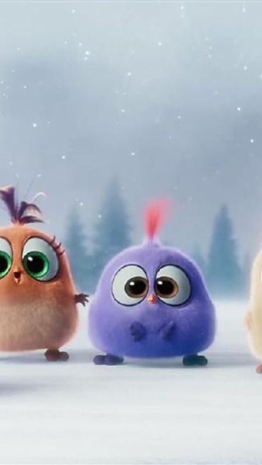 愤怒的小鸟 可爱小鸟精致电脑壁纸