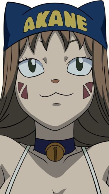 妖精的尾巴 露西动漫高清电脑壁纸下载