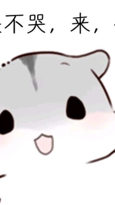 小仓鼠表情包 仓鼠的秀恩爱日常