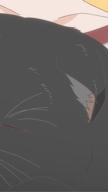 新海诚 她和她的猫 猫咪动漫电脑壁纸下载